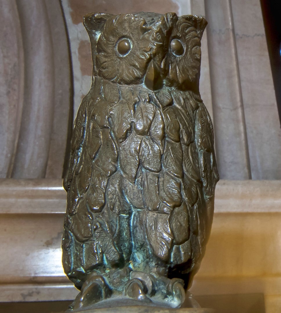 owl