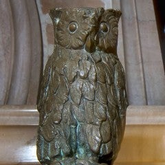 owl