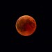 Don&#039;t miss this weekend&#039;s lunar eclipse - a &quot;Super Blood Wolf Moon&quot;!